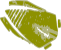 Cicada dictionary